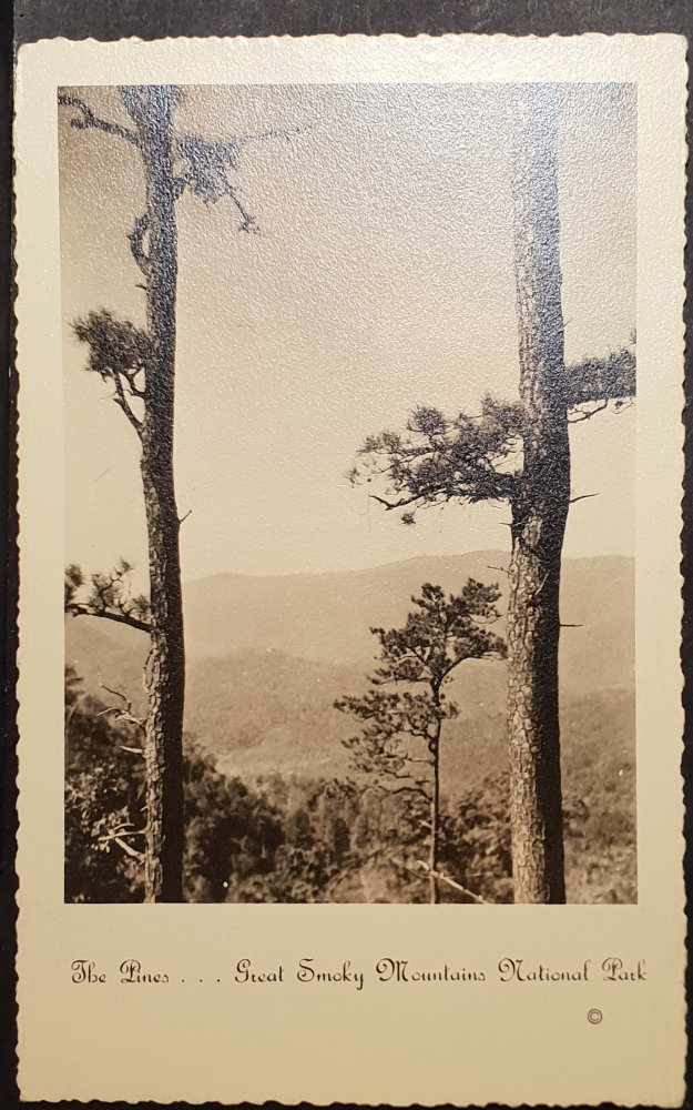 (image for) postcard USA - TN - Tennessee #0002